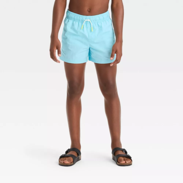 Boys Solid Swim Shorts - art class™ Blue